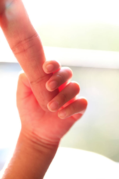 Close-up of a newborn's hand grasping the finger of parent - Photo, Image
