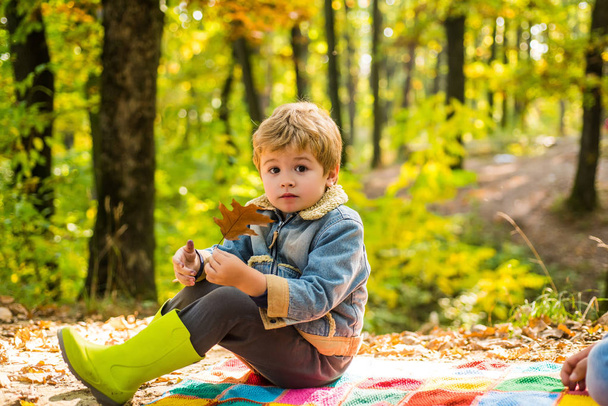 Child love. Hello Autumn bye Summer. Cute boy with Autumn Leaves on Fall Nature Background. Childhood concept. - Fotó, kép