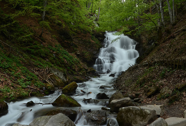 Bos van stromende waterval hoog in de bergen van de Karpaten met lawaai stromen naar beneden op een achtergrond van groene bos - Foto, afbeelding