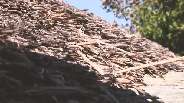 Makro doškovou střechou z Pedrafita Cebreiro - Záběry, video