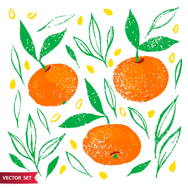Hand drawn set of orange fruit with texture. Food element collection. Vector illustration of tangerines with leaves, branches and seeds. Floral vector elements for design. - Vector, Image