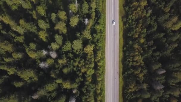 Flying over the beautiful forest trees and road. Shot. Aerial View. Car on a winding road in the hills. Aerial camera shot. Landscape panorama. Aerial view flying over old patched two lane forest road - Footage, Video