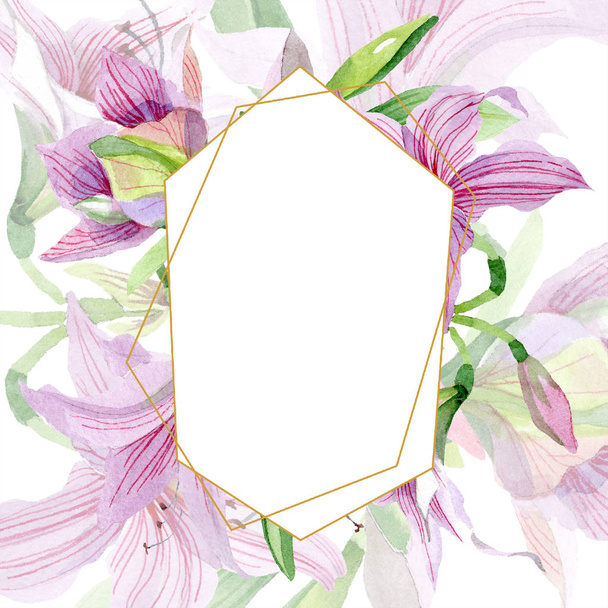 Watercolor pink amaryllis flower. Floral botanical flower. Frame border ornament square. Aquarelle wildflower for background, texture, wrapper pattern, frame or border. - 写真・画像