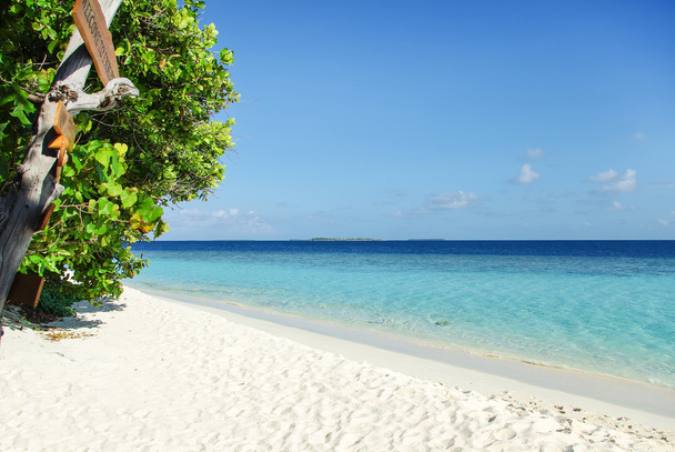 Beach with white sand on beautiful tropical island - Photo, Image