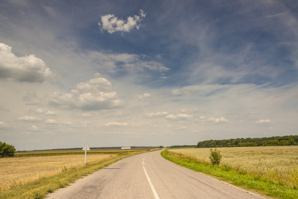 Empty rural route - Ukraine, Europe. - Foto, imagen