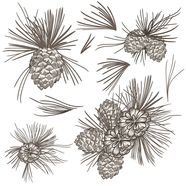 Set of vector realistic fur tree corns for Chirstmas design - Vektör, Görsel