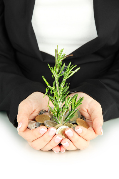 Woman hands with green plant and coins isolated on whit - Photo, image