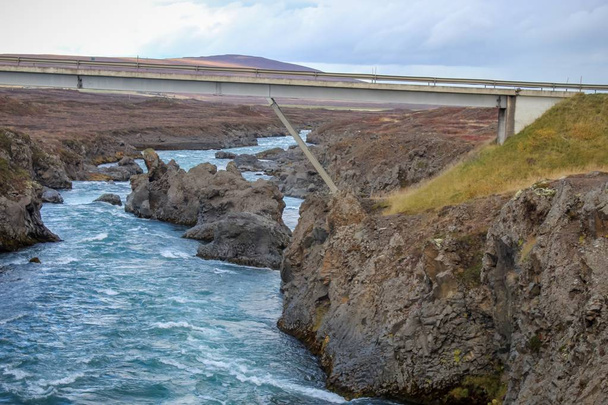 Luonnonkukat ja vesiputoukset Koillis-Islannissa
 - Valokuva, kuva