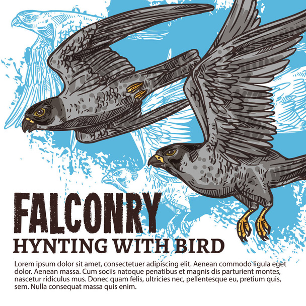 Caça à falcoaria, aves de falcão selvagens
 - Vetor, Imagem