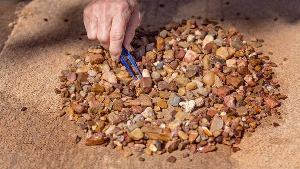 Etsiminen safiireja käsin etsivät kiiltävät kivet
 - Valokuva, kuva