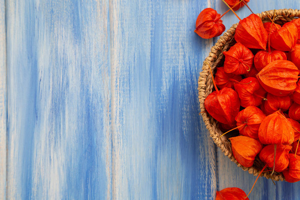 Ősz-hátterét. Világos narancssárga physalis bogyós gyümölcsök, a fás kék háttér. Háttérben az őszi ünnepek és a hálaadó nap. - Fotó, kép