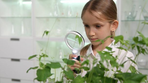 Child in Chemistry Lab, School Girl Studying Plants Educational Project - Foto, imagen