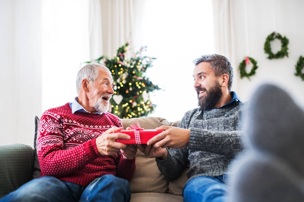 A senior father and adult son with a present sitting on a sofa at Christmas time. - Fotoğraf, Görsel