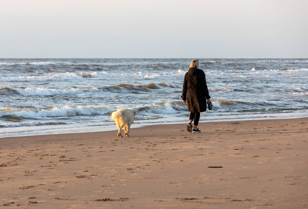  eine frau mit hund, die an einem sonnigen tag am strand in katwijk spazieren geht. Niederlande - Foto, Bild