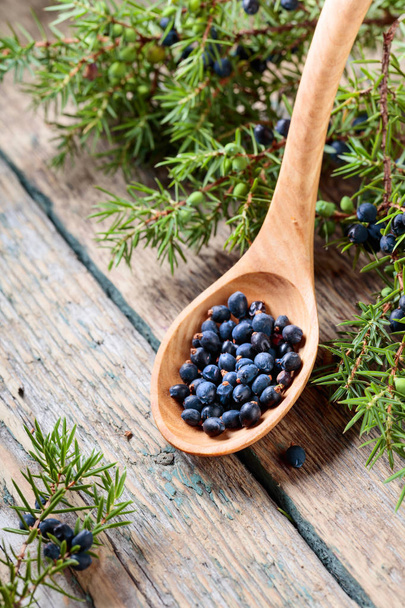 Juniper branch and wooden spoon with berries on a wooden background.  - Photo, Image