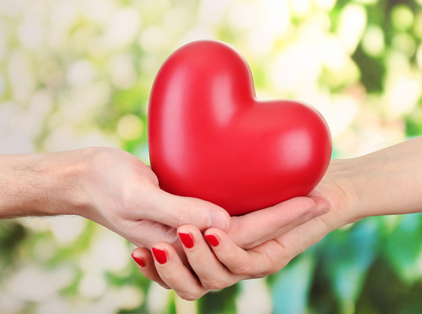 Red heart in woman and man hands, on green background - Photo, Image