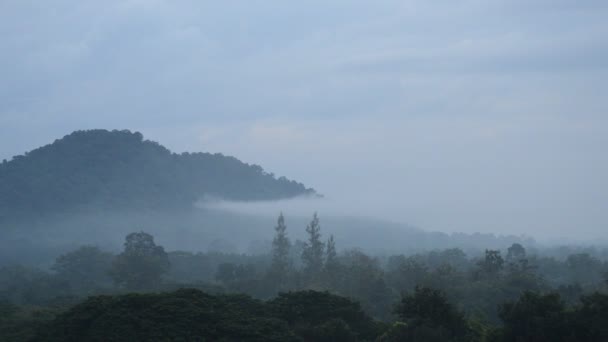 landscape of mist floating on mountain peak - Footage, Video