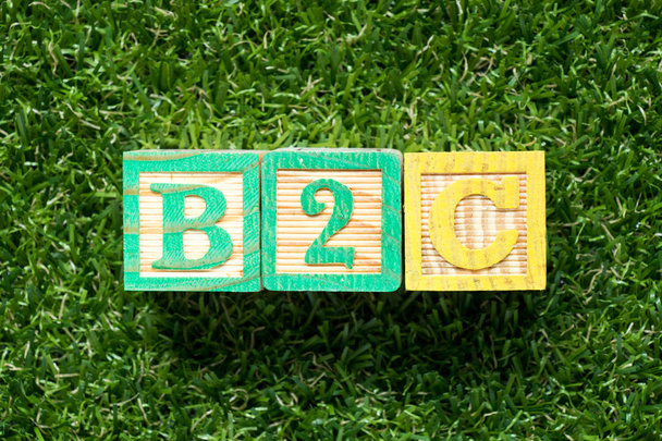 Barevný dřevěný blok v aplikaci word B2c (podniky a spotřebiteli) na umělé trávě zelené pozadí - Fotografie, Obrázek