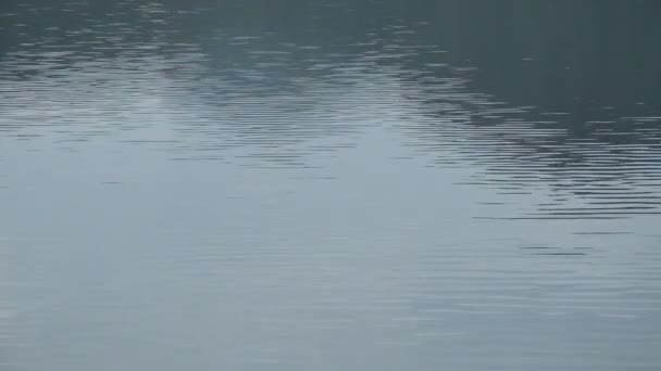 agua ondulada y extendiéndose sobre el fondo y la textura del lago
 - Imágenes, Vídeo
