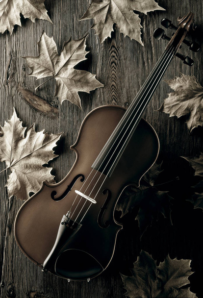 Geige mit Herbstblättern auf gealtertem Holz-Hintergrund - Foto, Bild