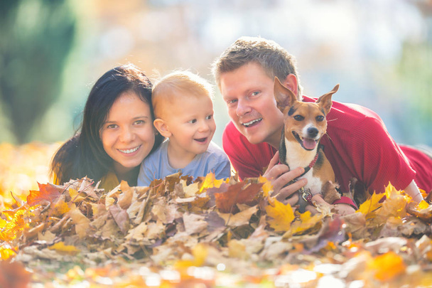 Happy family mother father baby boy and dog in autumn park playing with leaves. - Foto, imagen