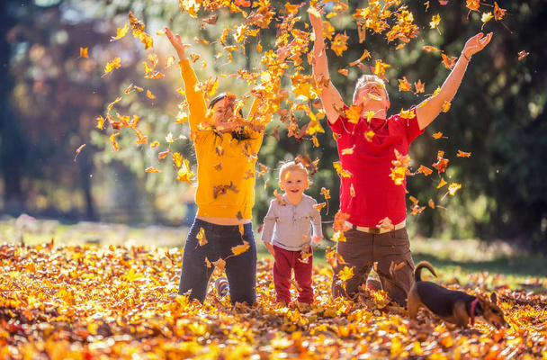 Happy family mother father baby boy and dog in autumn park playing with leaves. - Фото, изображение
