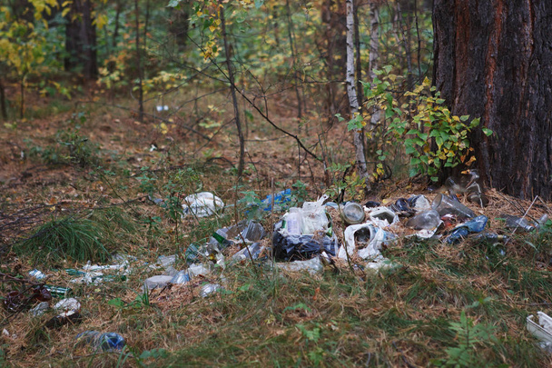 Σωρό από σκουπίδια σε ένα πευκόφυτο δάσος. - Φωτογραφία, εικόνα
