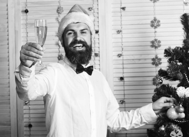 Man with beard holds champagne glass. Guy near Christmas tree - Fotoğraf, Görsel