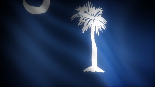 vlag van Zuid-carolina - Video