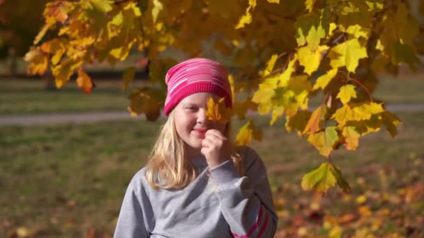 muotokuva kaunis tyttö syksyllä puistossa
 - Materiaali, video