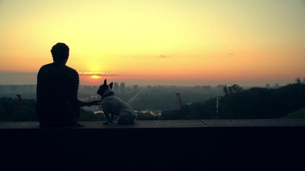 Een man speelt met zijn hond tijdens het kijken naar de zonsondergang - Video