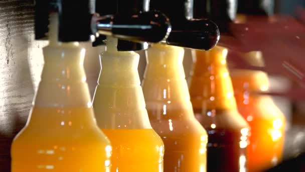 Bierflessen close-up op brouwerij bottelen lijn. - Video