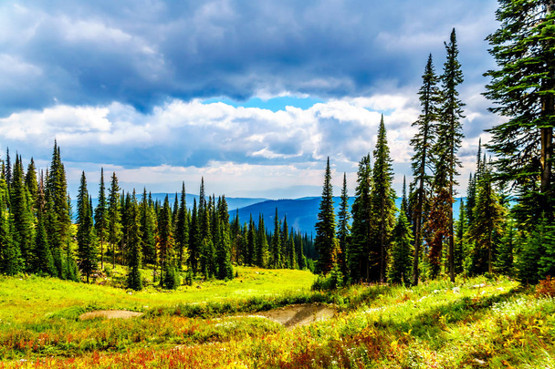 Vaellus läpi alppiniittyjen syksyn väreissä Tod Mountainilla lähellä Sun Peaksin kylää Shuswap Highlandsissa Brittiläisessä Kolumbiassa, Kanadassa
.  - Valokuva, kuva