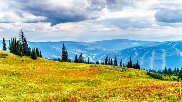 Escursione attraverso i prati alpini in colori autunnali sulla montagna di Tod vicino al villaggio di Sun Peaks nelle Shuswap Highlands della Columbia Britannica, Canada
.  - Foto, immagini