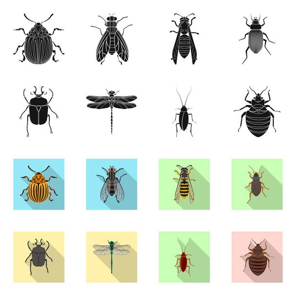 Vector design of insect and fly logo. Set of insect and element vector icon for stock. - Vettoriali, immagini