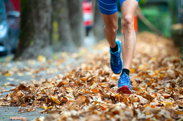 Detail of runner shoes among the leaves. - Photo, Image