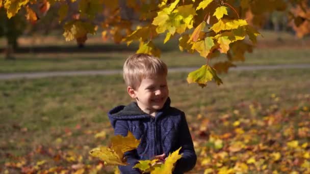 retrato de um menino bonito no parque de outono
 - Filmagem, Vídeo