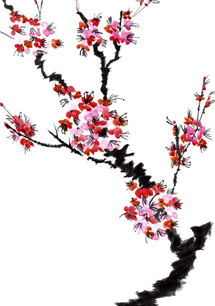 A branch of a blossoming tree. Pink flowers of sakura . Watercolor and ink illustration in style sumi-e, u-sin. Oriental traditional painting.  Isolated on white background. - Fotoğraf, Görsel