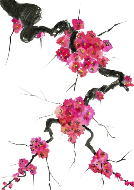 A branch of a blossoming tree. Pink and red stylized flowers of plum mei, wild apricots and sakura . Watercolor and ink illustration in style sumi-e, u-sin. Oriental traditional painting.   - Foto, Bild