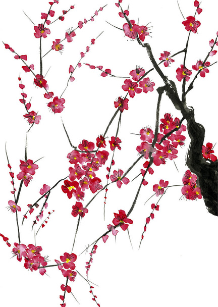 A branch of a blossoming tree. Pink and red stylized flowers of plum mei, wild apricots and sakura . Watercolor and ink illustration in style sumi-e, u-sin. Oriental traditional painting.   - Фото, зображення