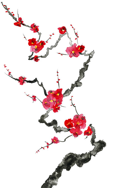 A branch of a blossoming tree. Pink and red stylized flowers of plum mei, wild apricots and sakura . Watercolor and ink illustration in style sumi-e, u-sin. Oriental traditional painting.   - 写真・画像