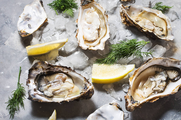 Opened Oysters with lemon on gray concrete texture background. - Fotoğraf, Görsel
