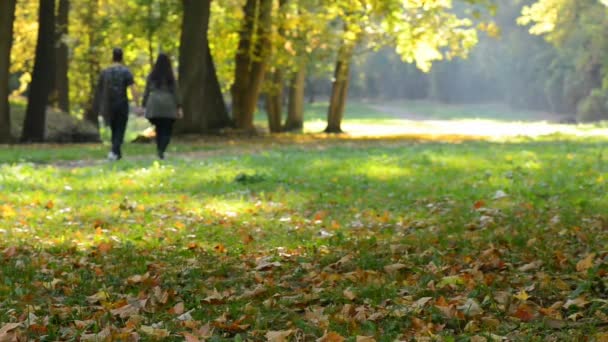Pair of young people walking in the autumn park. Pan. - Footage, Video
