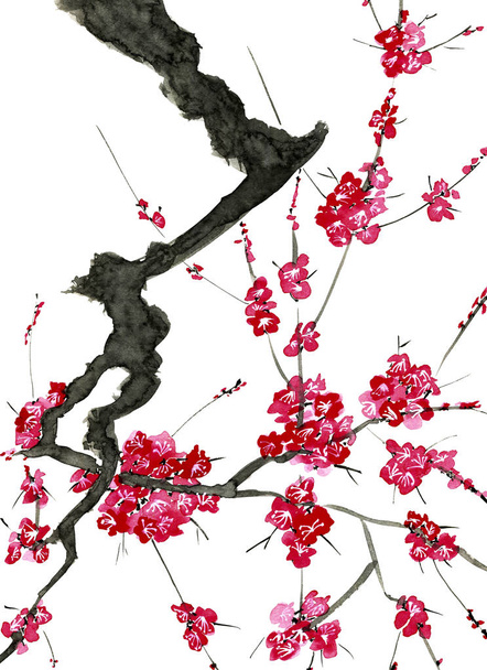 A branch of a blossoming tree. Pink flowers of sakura . Watercolor and ink illustration in style sumi-e, u-sin. Oriental traditional painting.  Isolated on white background. - Foto, afbeelding