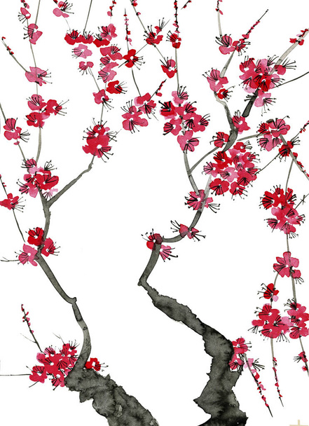 A branch of a blossoming tree. Pink flowers of sakura . Watercolor and ink illustration in style sumi-e, u-sin. Oriental traditional painting.  Isolated on white background. - Φωτογραφία, εικόνα