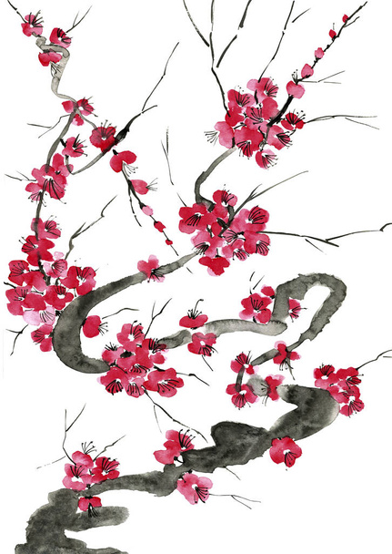Een tak van een bloeiende boom. Roze en rode bloemen voor plum gestileerde mei, wilde abrikozen en sakura. Aquarel en inkt illustratie in stijl sumi-e, u-sin. Oosterse traditionele schilderkunst.   - Foto, afbeelding