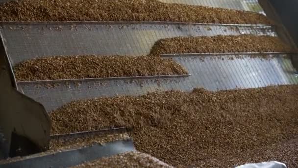La farina d'avena di cereali si sgretola in parti uguali in una fabbrica
 - Filmati, video