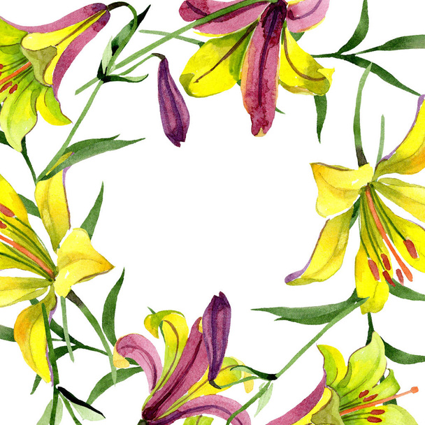 Watercolor yellow lily flower. Floral botanical flower. Frame border ornament square. Aquarelle wildflower for background, texture, wrapper pattern, frame or border. - Фото, изображение