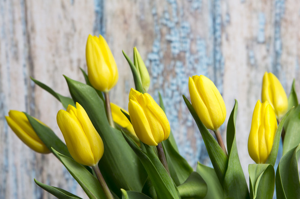 žluté tulipány od staré stodoly - Fotografie, Obrázek