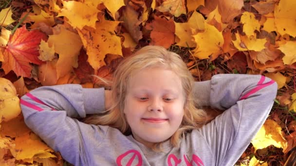 落ち葉で秋の公園で美しい少女の秋の公園の肖像画の美しい少女の肖像画 - 映像、動画